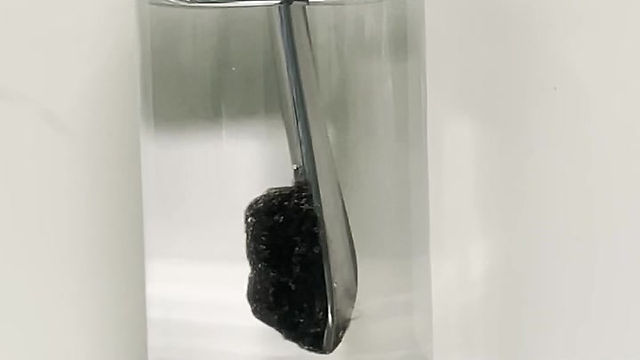 Tea polyphenol inspired underwater adhesive